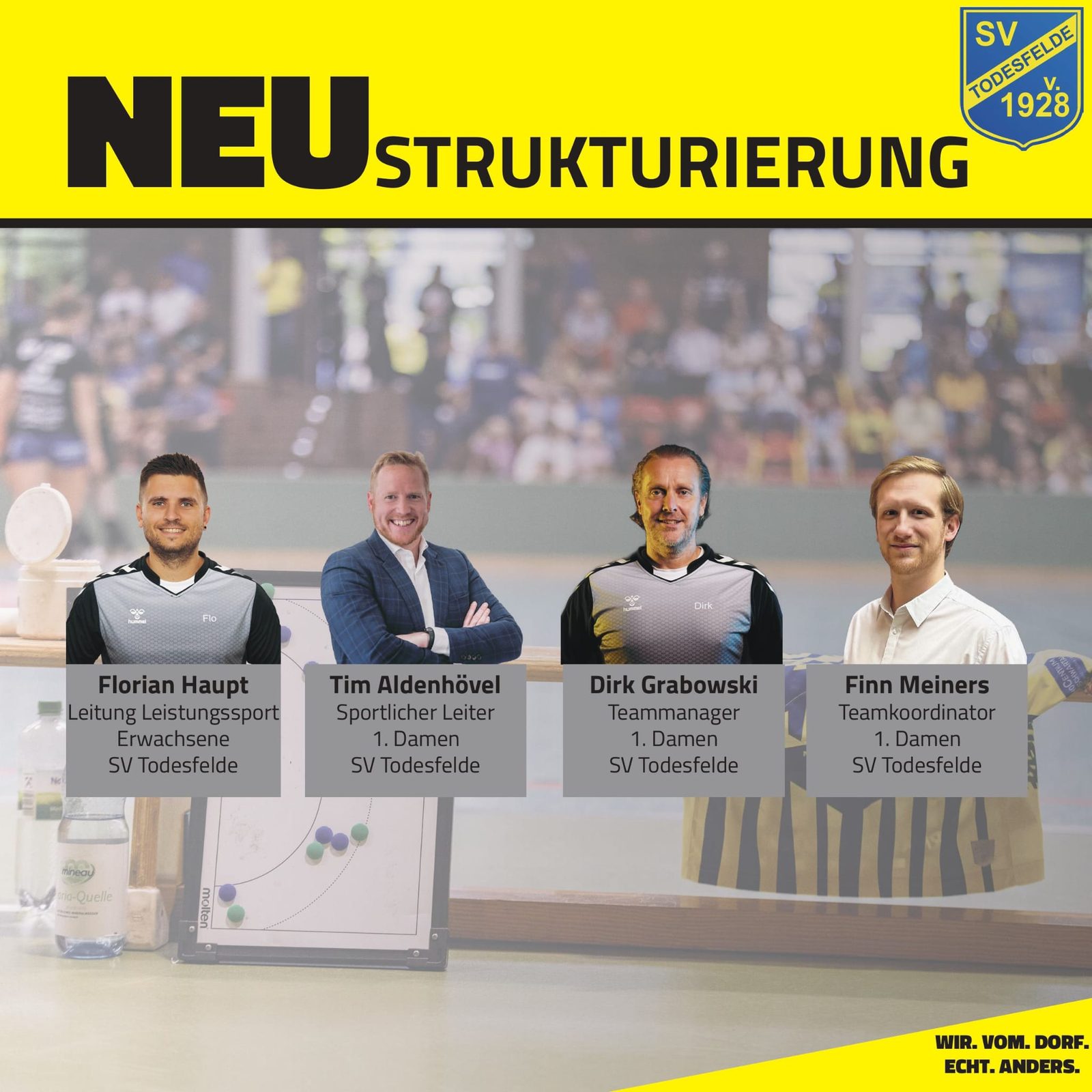 SV Todesfelde: Neue sportliche Strukturen bei den Handball-Damen