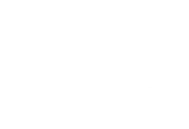 Logo Physio Mherjan Leezen
